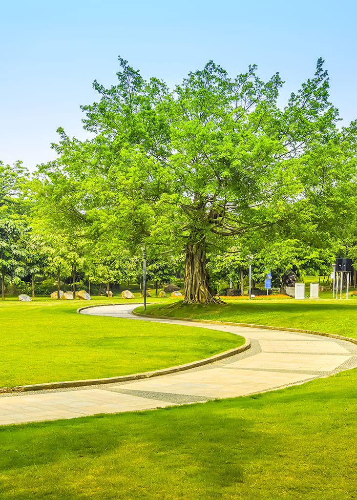 beautiful-park